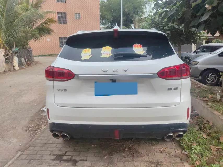 2020 WEY VV6 2.0T 227HP L4 7DCT,autocango,china used car exporter,china ev exporter,chinese used car exporter,chinese used ev exporter