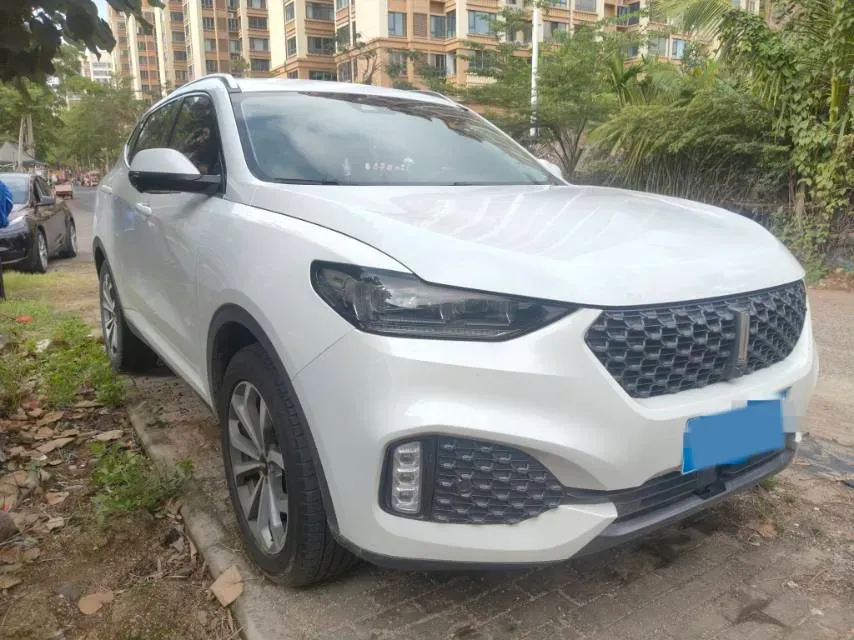 2020 WEY VV6 2.0T 227HP L4 7DCT,autocango,china used car exporter,china ev exporter,chinese used car exporter,chinese used ev exporter