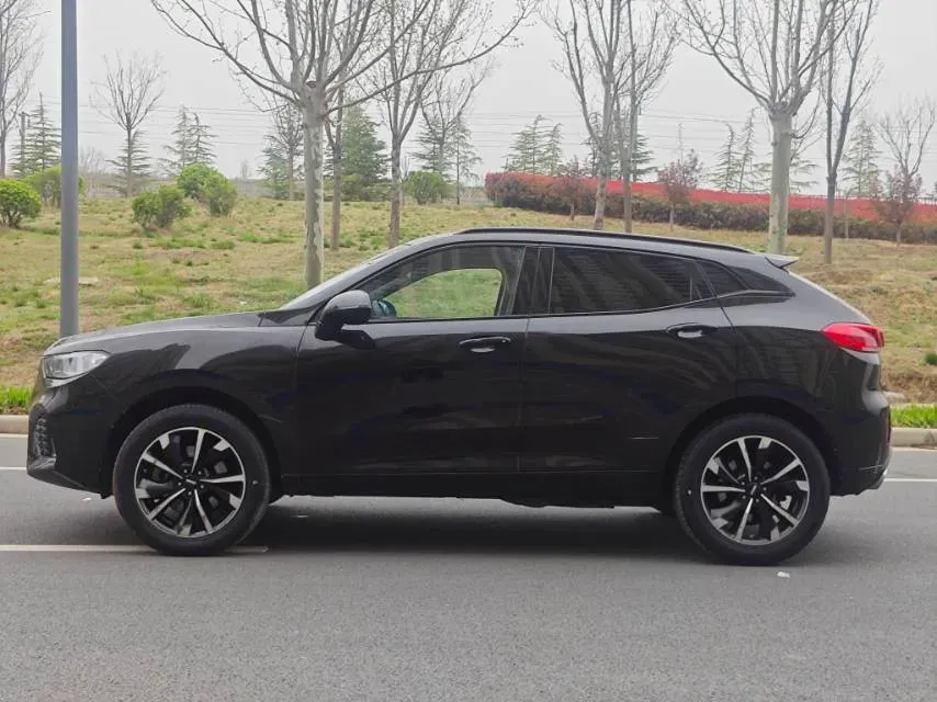 2019 WEY VV5 2.0T 224HP L4 7DCT,autocango,china used car exporter,china ev exporter,chinese used car exporter,chinese used ev exporter