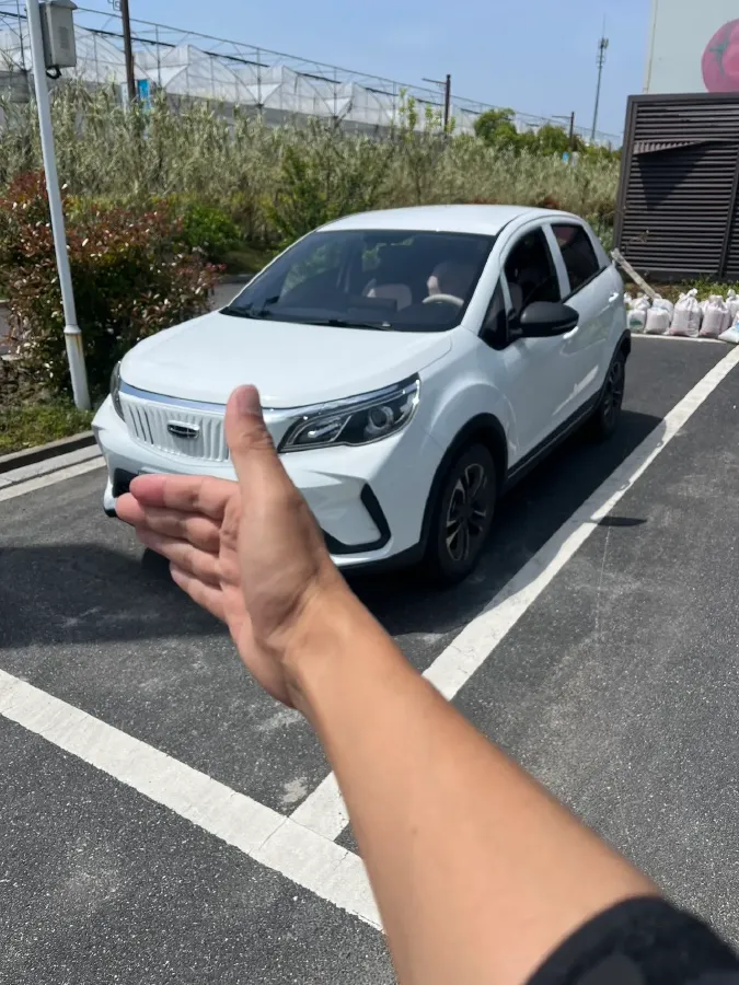 2021 Geometry EX3 BEV 37.23KWH,autocango,china used car exporter,china ev exporter,chinese used car exporter,chinese used ev exporter