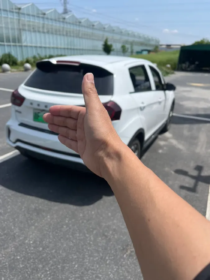 2021 Geometry EX3 BEV 37.23KWH,autocango,china used car exporter,china ev exporter,chinese used car exporter,chinese used ev exporter