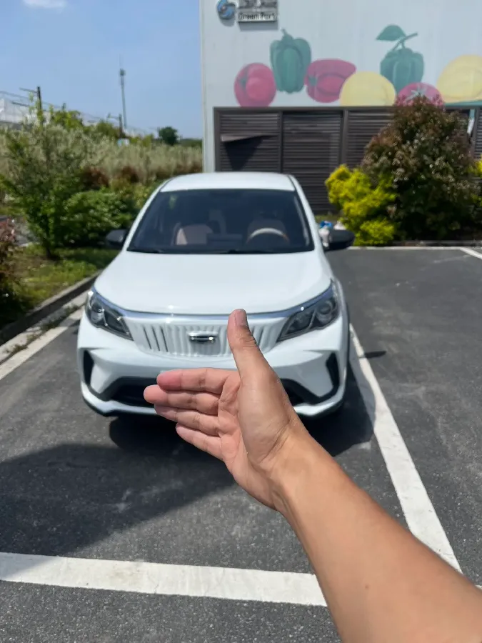 2021 Geometry EX3 BEV 37.23KWH,autocango,china used car exporter,china ev exporter,chinese used car exporter,chinese used ev exporter