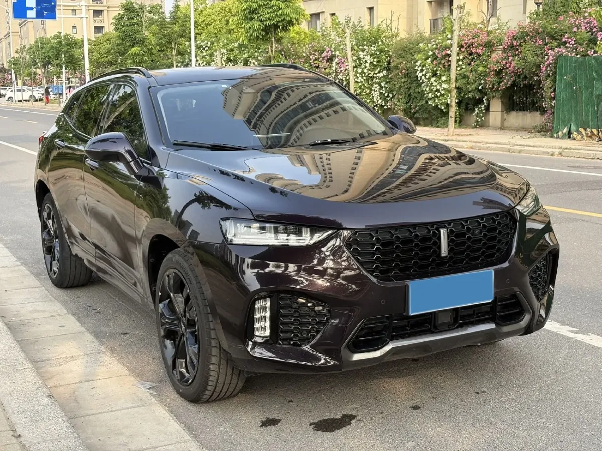 2017 WEY VV7 2.0T 234HP L4 7DCT,autocango,china used car exporter,china ev exporter,chinese used car exporter,chinese used ev exporter