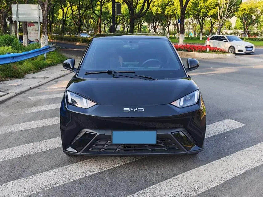 2024 BYD Seagull BEV 30.08KWH,autocango,china used car exporter,china ev exporter,chinese used car exporter,chinese used ev exporter