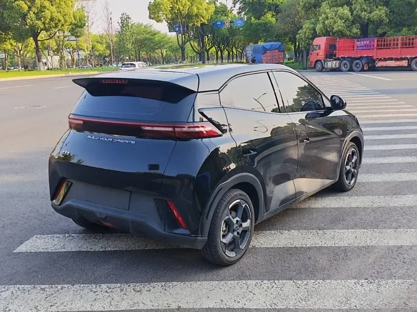 2024 BYD Seagull BEV 30.08KWH,autocango,china used car exporter,china ev exporter,chinese used car exporter,chinese used ev exporter