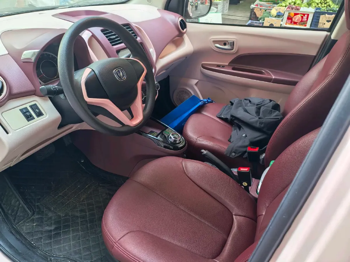 2021 ChangAn BenBen E-Star BEV 31.95KWH,autocango,china used car exporter,china ev exporter,chinese used car exporter,chinese used ev exporter