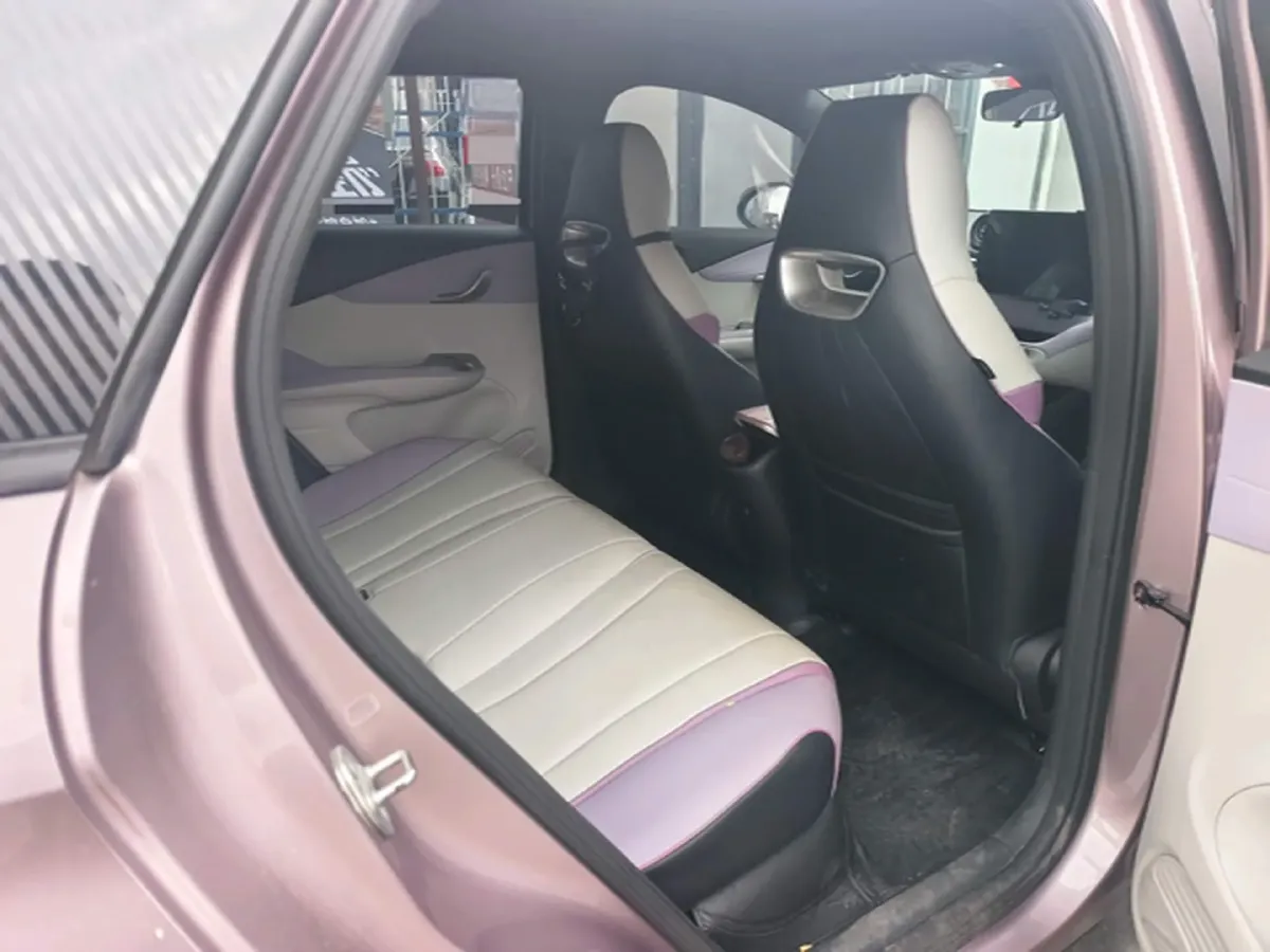 2021 BYD Yuan Pro BEV 50.1KWH,autocango,china used car exporter,china ev exporter,chinese used car exporter,chinese used ev exporter