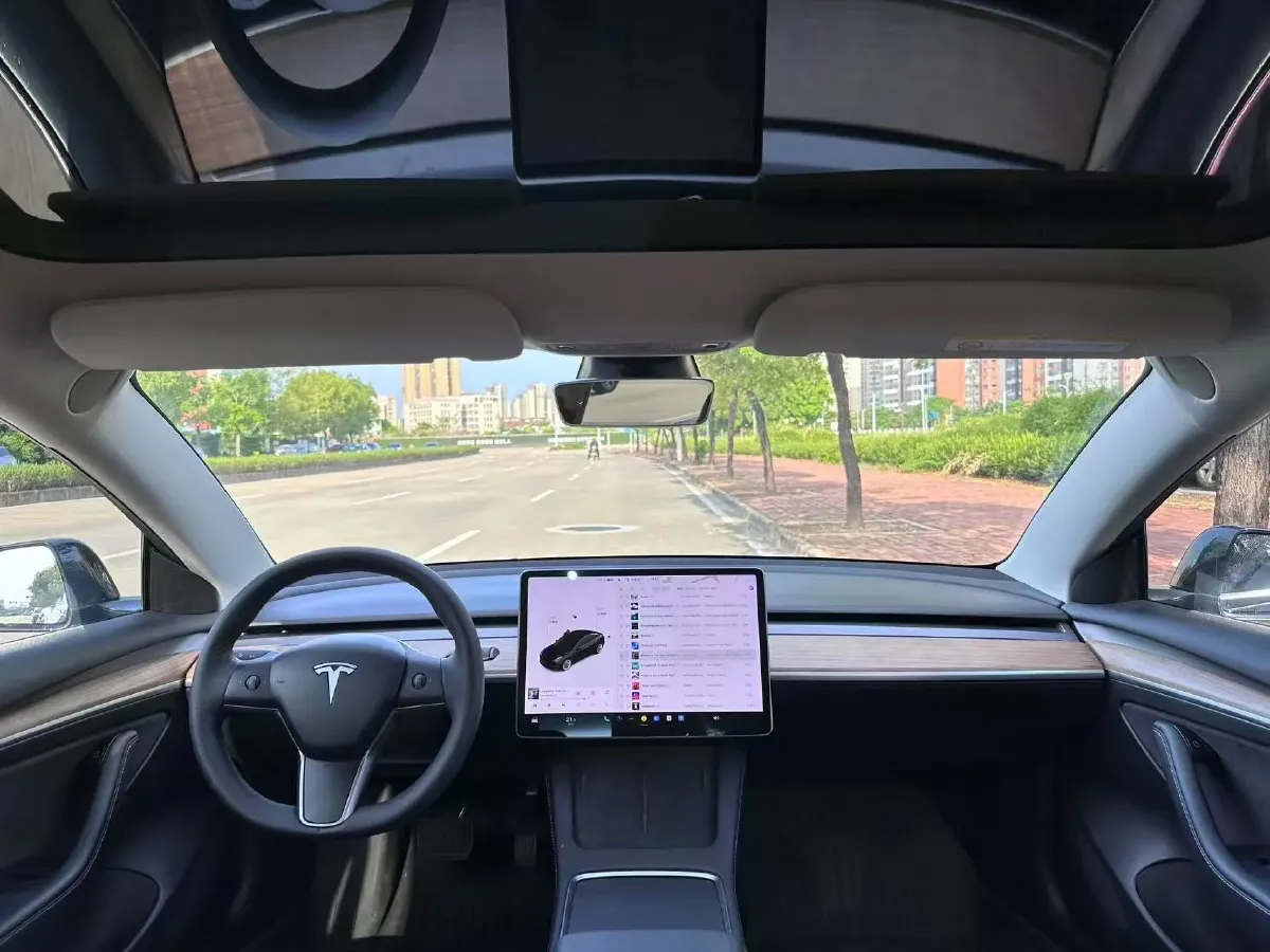2021 Tesla Model 3 BEV 55KWH,autocango,china used car exporter,china ev exporter,chinese used car exporter,chinese used ev exporter
