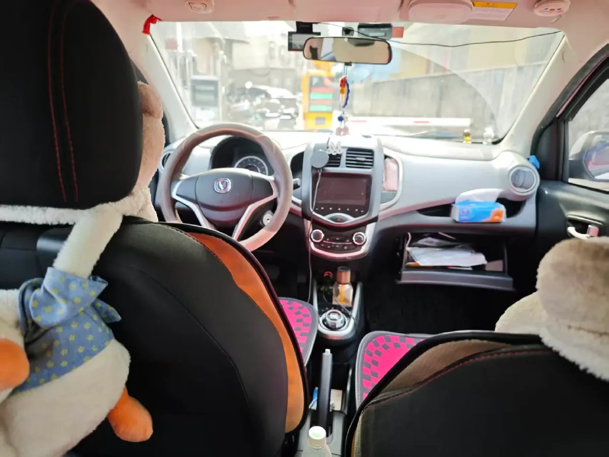 2021 ChangAn BenBen E-Star BEV 31.18KWH,autocango,china used car exporter,china ev exporter,chinese used car exporter,chinese used ev exporter