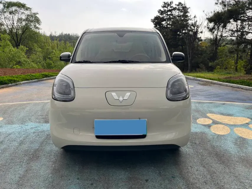 2025 WuLing HongGuang MINI EV BEV 16.2KWH,autocango,china used car exporter,china ev exporter,chinese used car exporter,chinese used ev exporter
