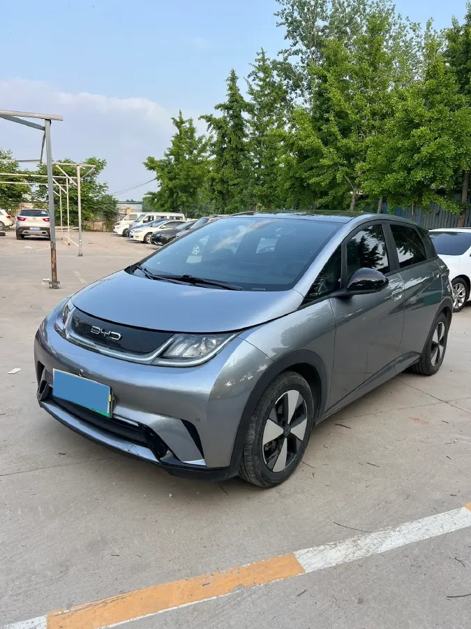 2023 BYD Dolphin BEV 44.928KWH,autocango,china used car exporter,china ev exporter,chinese used car exporter,chinese used ev exporter