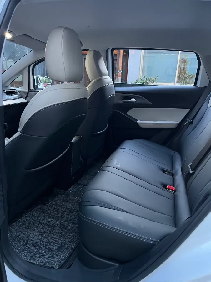 2024 Geometry E BEV 29.67KWH,autocango,china used car exporter,china ev exporter,chinese used car exporter,chinese used ev exporter