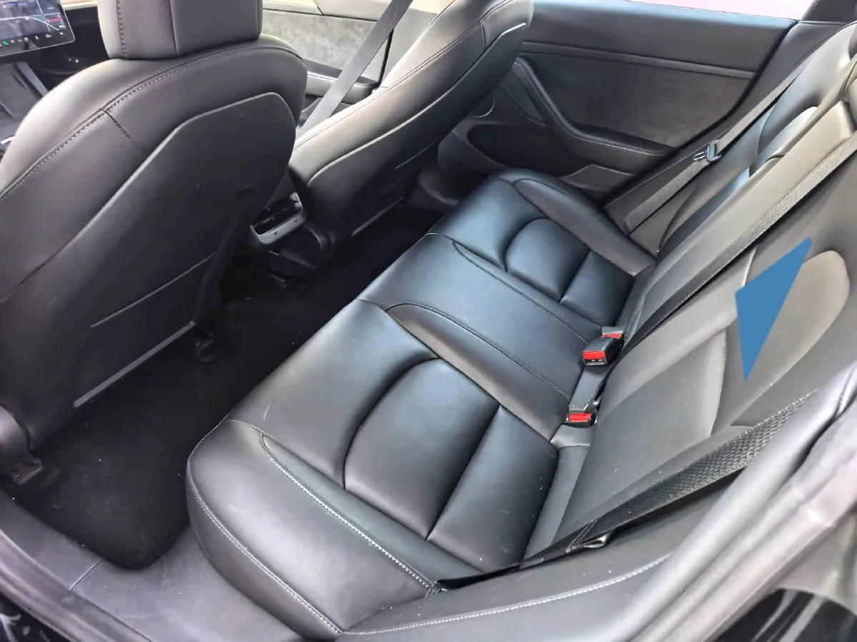 2021 Tesla Model 3 BEV 55KWH,autocango,china used car exporter,china ev exporter,chinese used car exporter,chinese used ev exporter