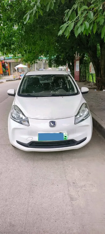 2021 ChangAn BenBen E-Star BEV 31.95KWH,autocango,china used car exporter,china ev exporter,chinese used car exporter,chinese used ev exporter