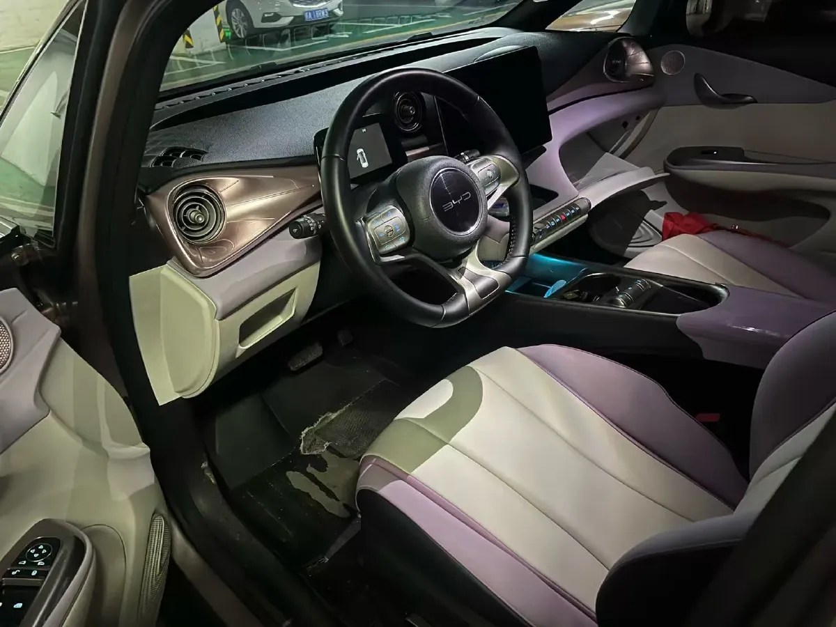 2023 BYD Dolphin BEV 44.928KWH,autocango,china used car exporter,china ev exporter,chinese used car exporter,chinese used ev exporter