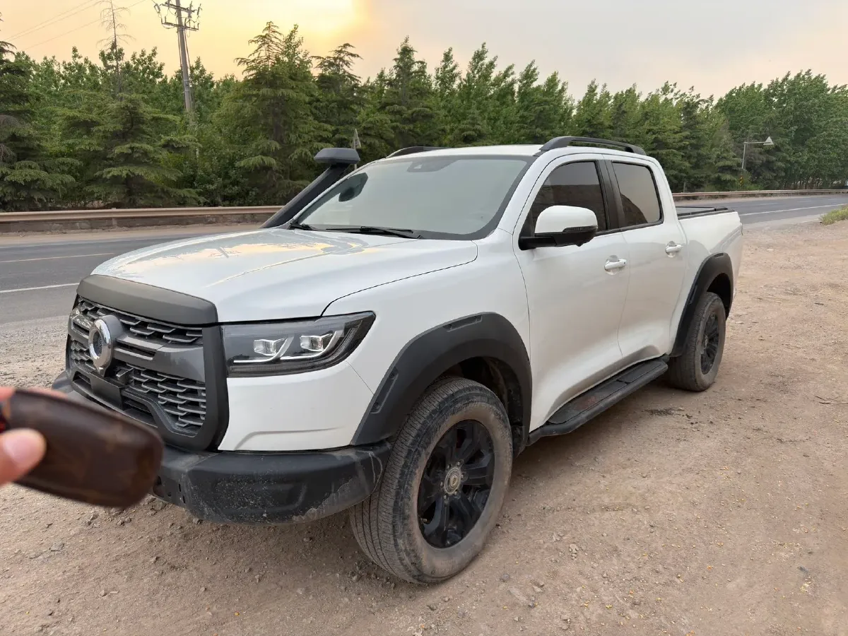 2020 Great Wall Poer 2.0T 163HP L4 8AT,autocango,china used car exporter,china ev exporter,chinese used car exporter,chinese used ev exporter