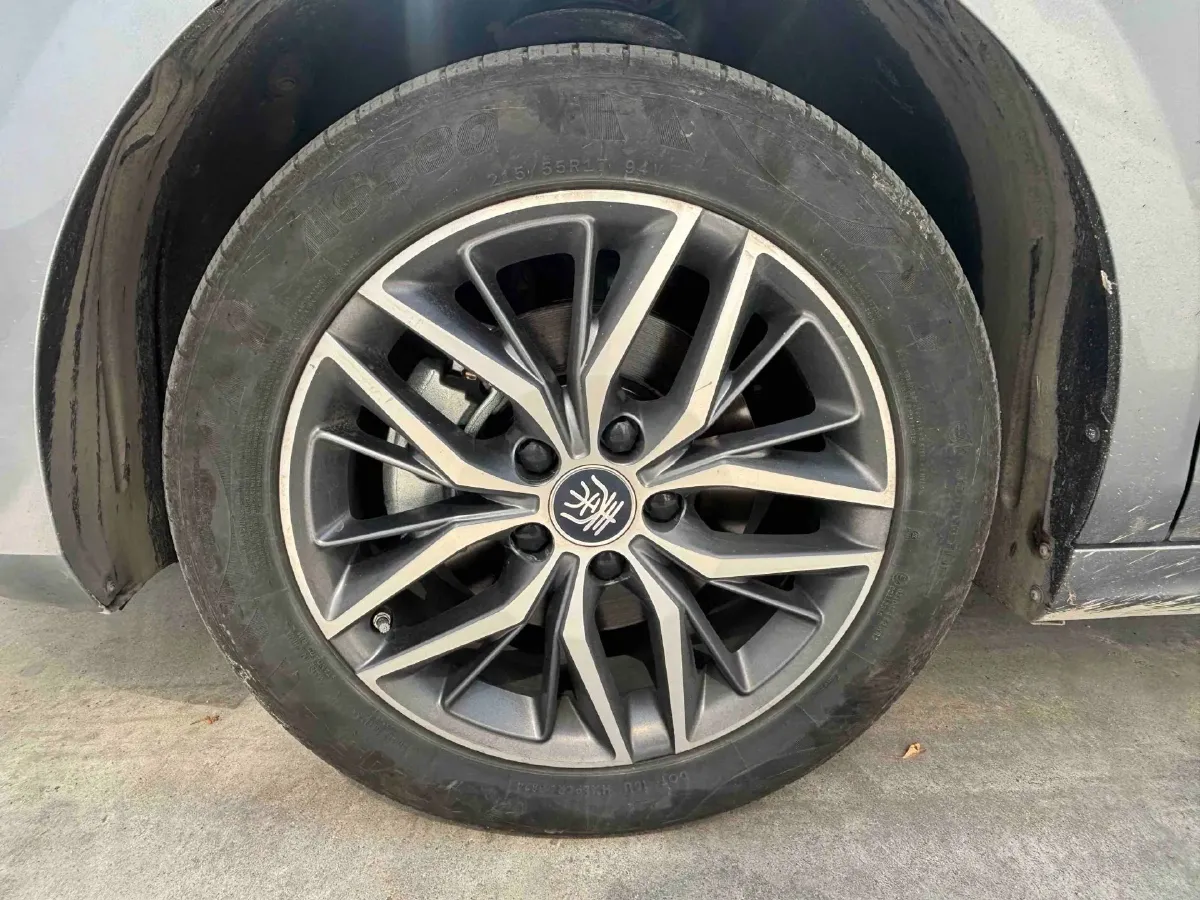 2024 BYD Qin Plus BEV 57.6KWH,autocango,china used car exporter,china ev exporter,chinese used car exporter,chinese used ev exporter