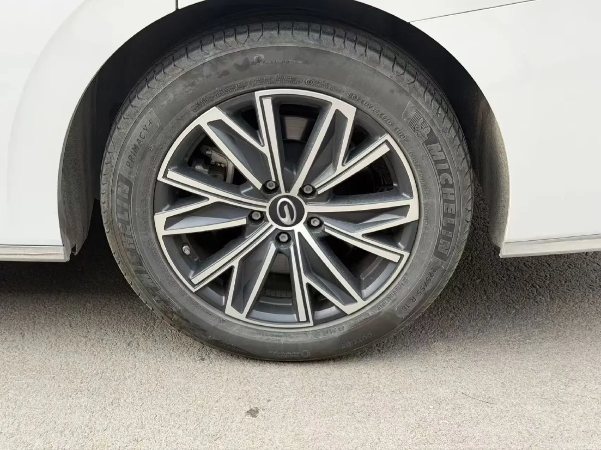 2024 GAC Trumpchi M8 2.0T 190HP L4 2DHT Hybrid,autocango,china used car exporter,china ev exporter,chinese used car exporter,chinese used ev exporter