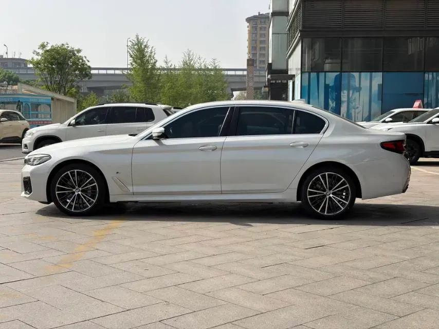 2021 BMW 5 Series 2.0T 252HP L4 8AT,autocango,china used car exporter,china ev exporter,chinese used car exporter,chinese used ev exporter