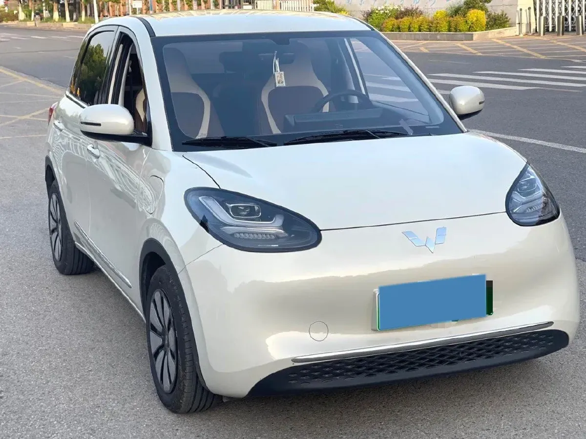 2024 WuLing BinGuo BEV 31.9KWH,autocango,china used car exporter,china ev exporter,chinese used car exporter,chinese used ev exporter
