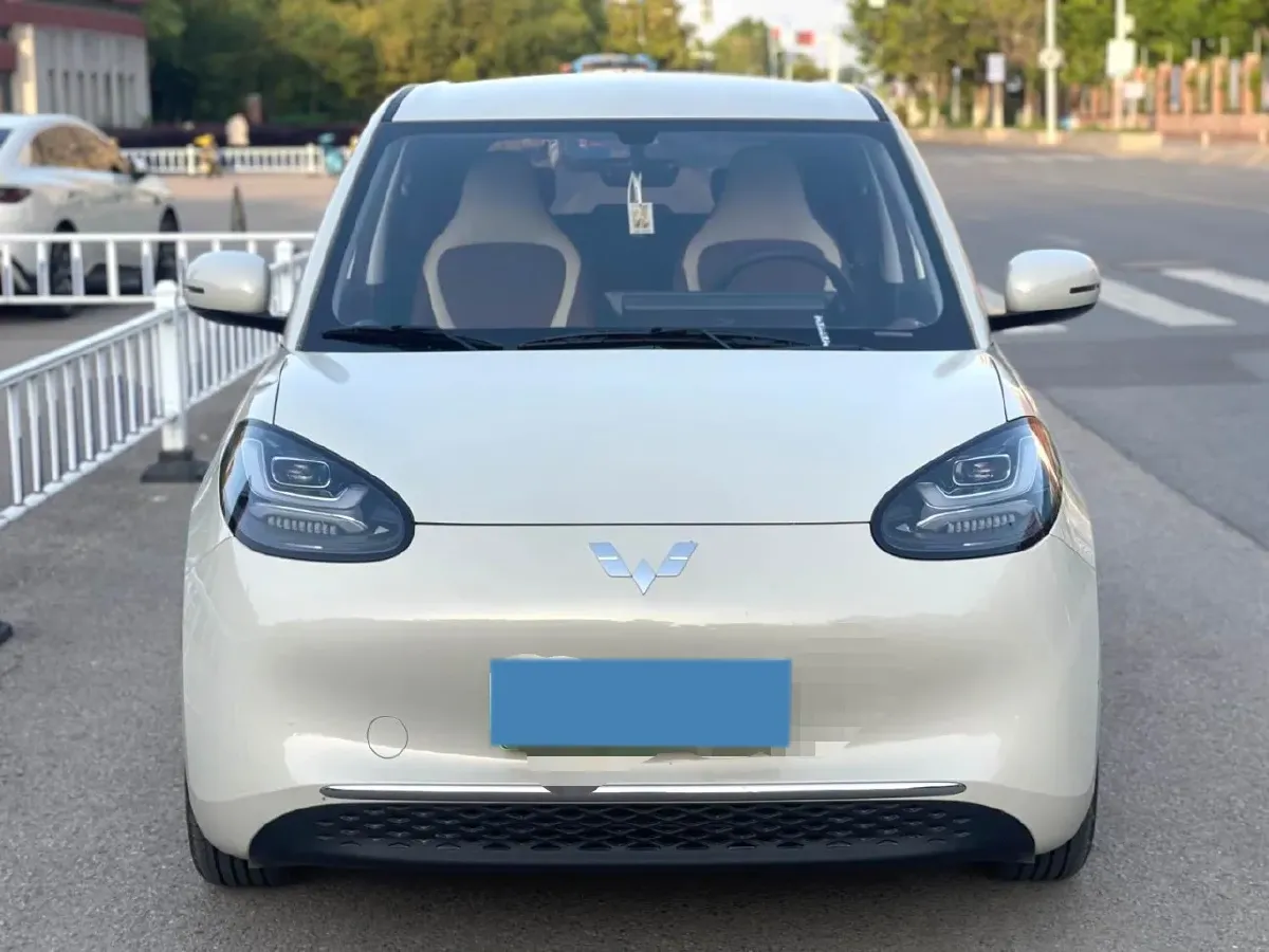 2024 WuLing BinGuo BEV 31.9KWH,autocango,china used car exporter,china ev exporter,chinese used car exporter,chinese used ev exporter