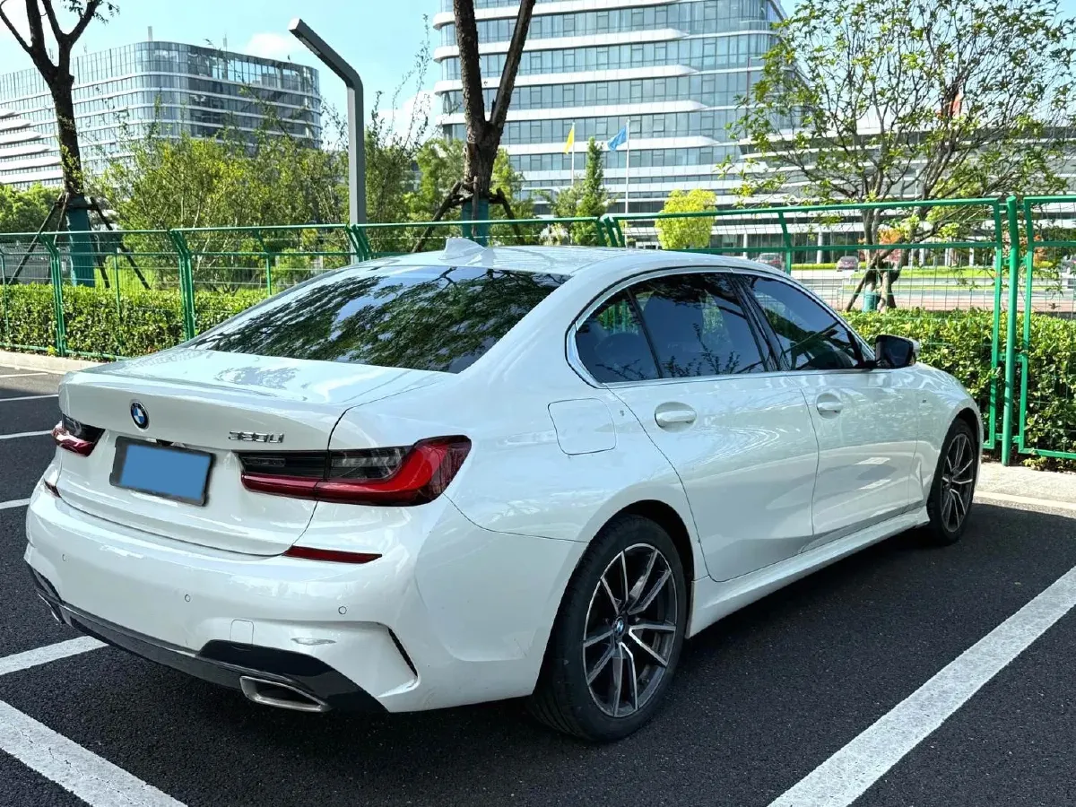 2021 BMW 3 Series 2.0T 156HP L4 8AT,autocango,china used car exporter,china ev exporter,chinese used car exporter,chinese used ev exporter