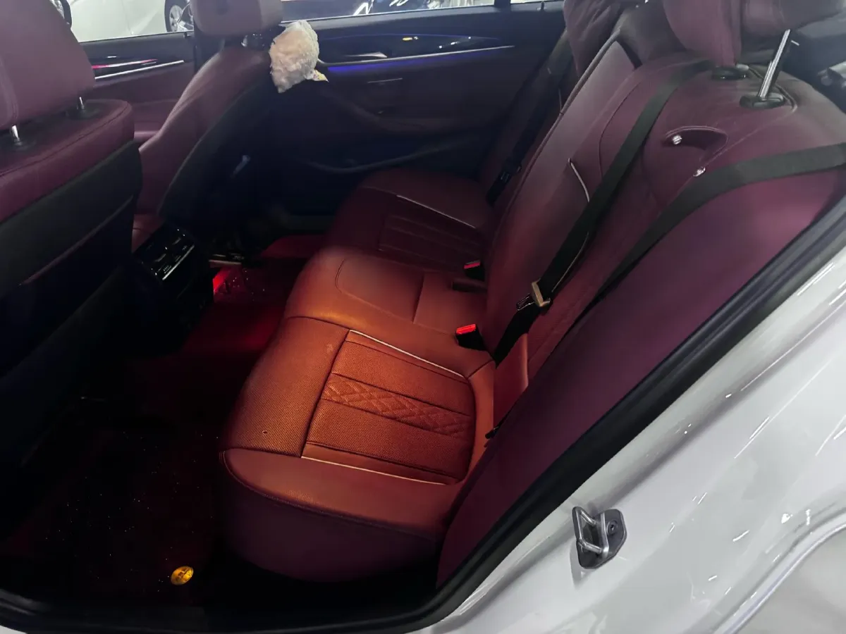 2022 BMW 5 Series 2.0T 184HP L4 8AT,autocango,china used car exporter,china ev exporter,chinese used car exporter,chinese used ev exporter