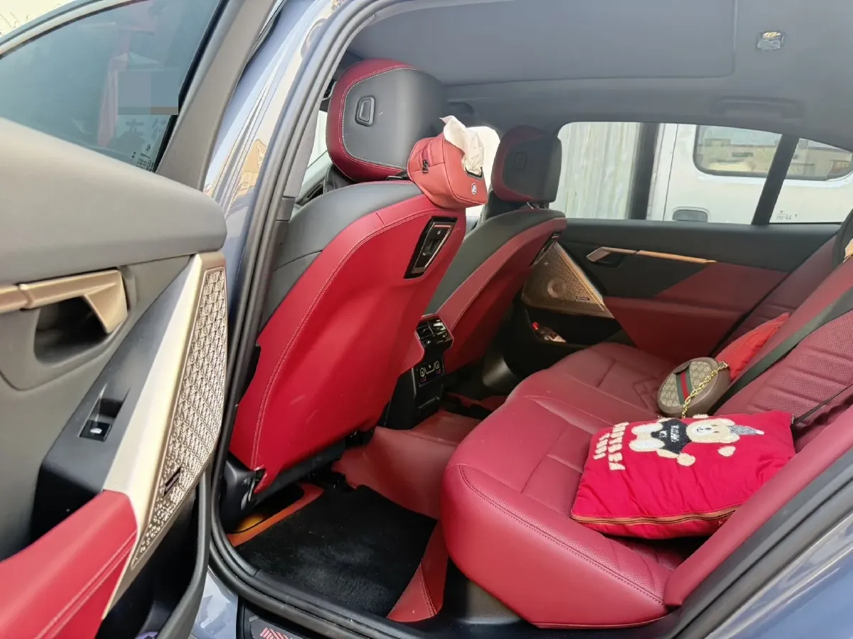 2024 BMW 5 Series 2.0T 258HP L4 8AT,autocango,china used car exporter,china ev exporter,chinese used car exporter,chinese used ev exporter