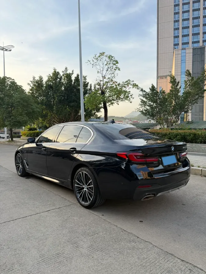 2021 BMW 5 Series 2.0T 252HP L4 8AT,autocango,china used car exporter,china ev exporter,chinese used car exporter,chinese used ev exporter