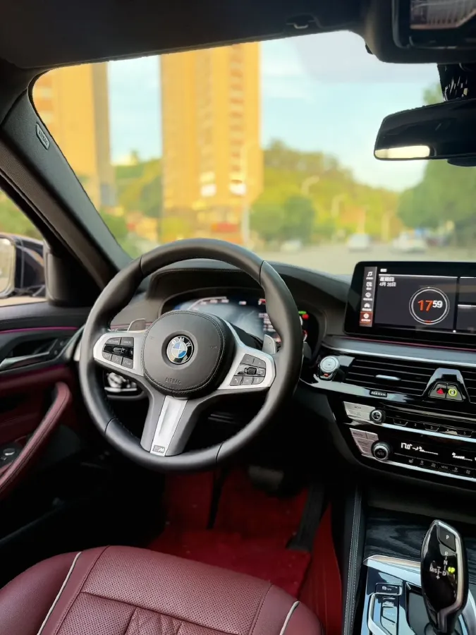 2021 BMW 5 Series 2.0T 252HP L4 8AT,autocango,china used car exporter,china ev exporter,chinese used car exporter,chinese used ev exporter