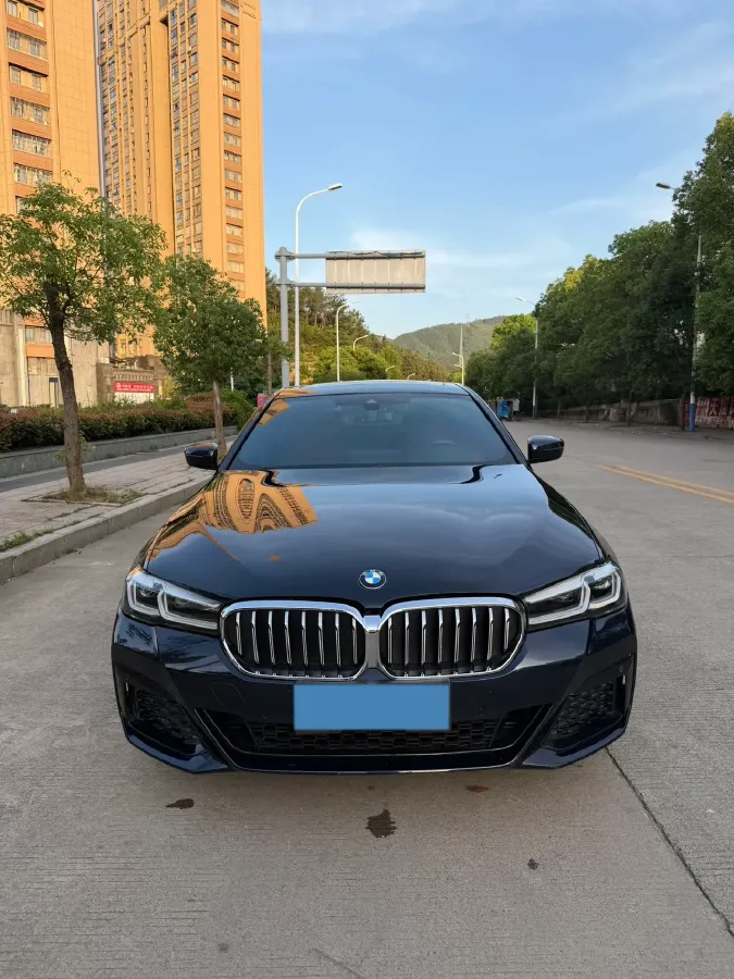 2021 BMW 5 Series 2.0T 252HP L4 8AT,autocango,china used car exporter,china ev exporter,chinese used car exporter,chinese used ev exporter