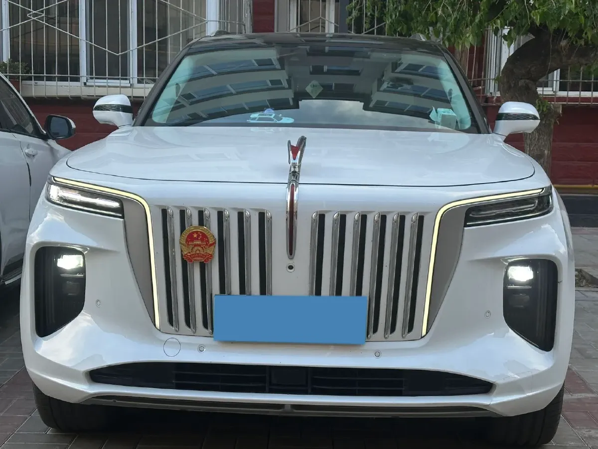 2021 HongQi E-HS9 BEV 84KWH,autocango,china used car exporter,china ev exporter,chinese used car exporter,chinese used ev exporter