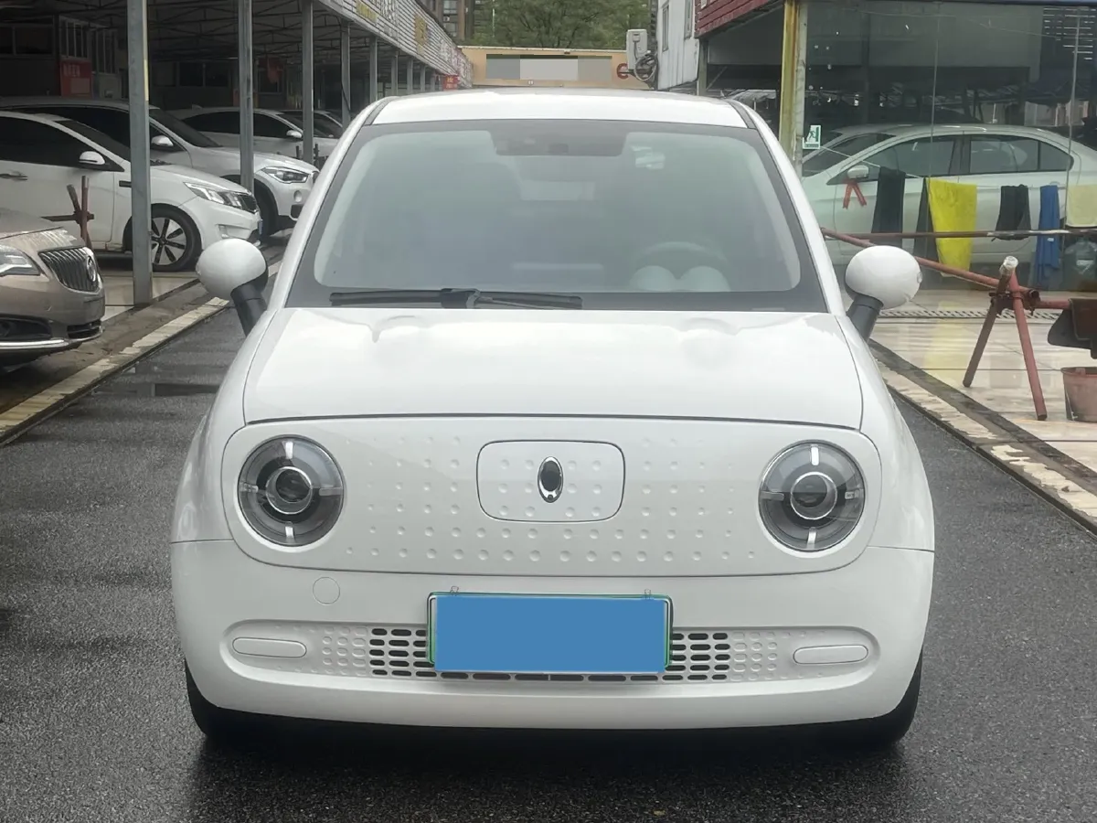 2021 Ora BlackCat BEV 28.5KWH,autocango,china used car exporter,china ev exporter,chinese used car exporter,chinese used ev exporter