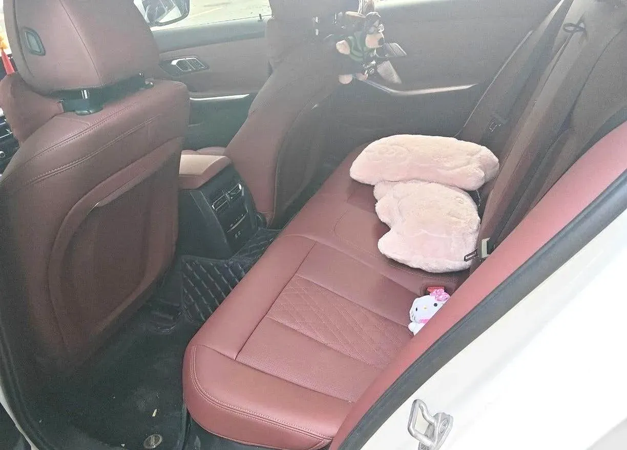 2025 BMW 3 Series 2.0T 184HP L4 8AT,autocango,china used car exporter,china ev exporter,chinese used car exporter,chinese used ev exporter