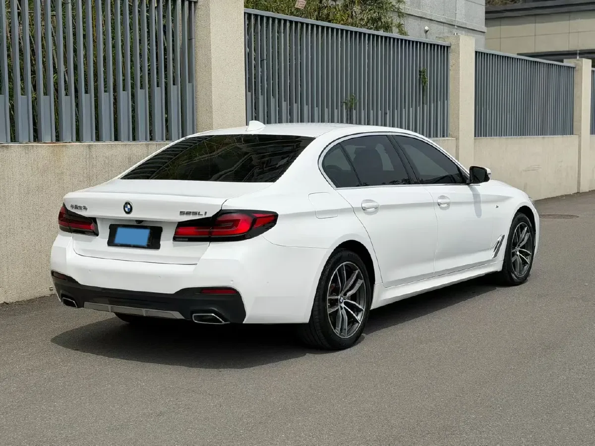 2021 BMW 5 Series 2.0T 184HP L4 8AT,autocango,china used car exporter,china ev exporter,chinese used car exporter,chinese used ev exporter