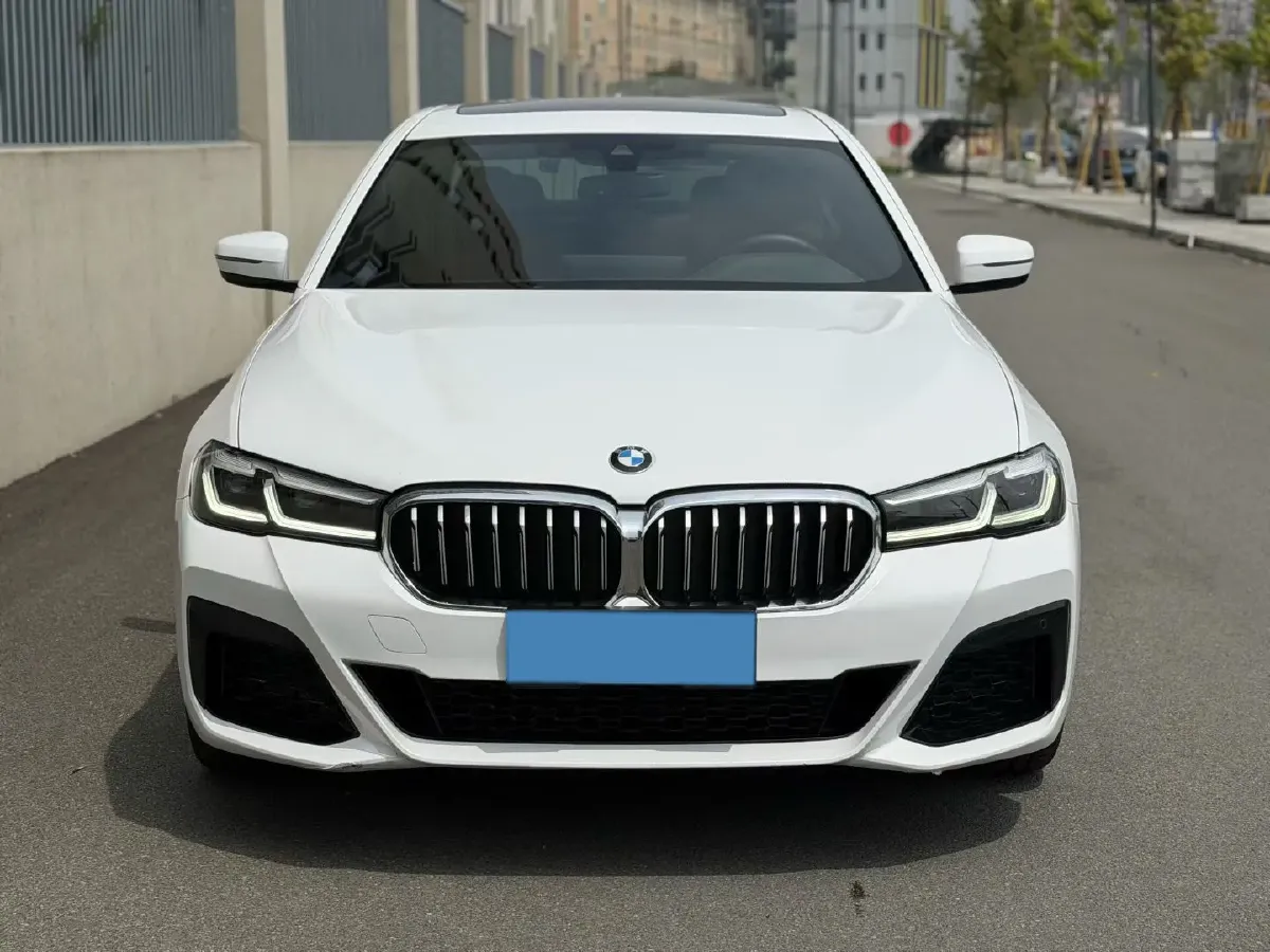 2021 BMW 5 Series 2.0T 184HP L4 8AT,autocango,china used car exporter,china ev exporter,chinese used car exporter,chinese used ev exporter