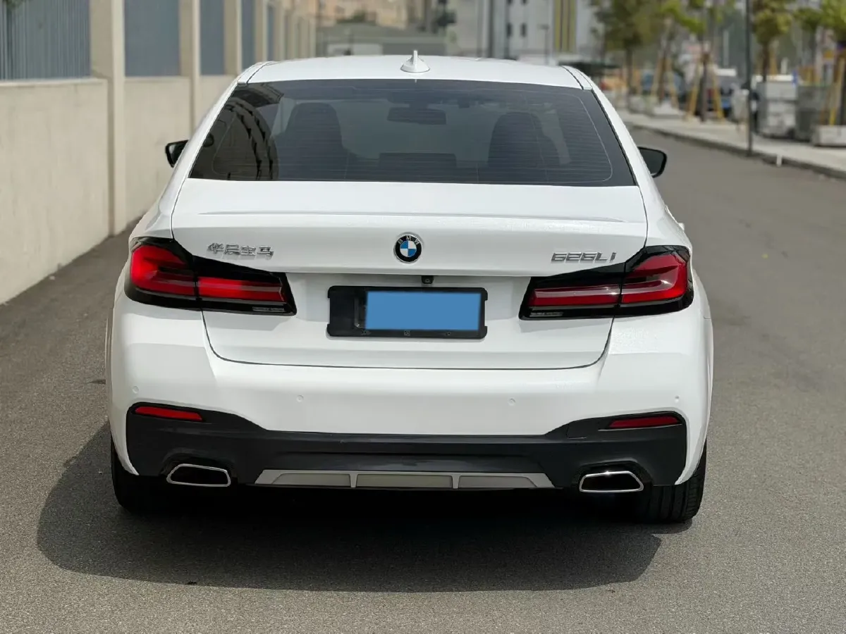 2021 BMW 5 Series 2.0T 184HP L4 8AT,autocango,china used car exporter,china ev exporter,chinese used car exporter,chinese used ev exporter