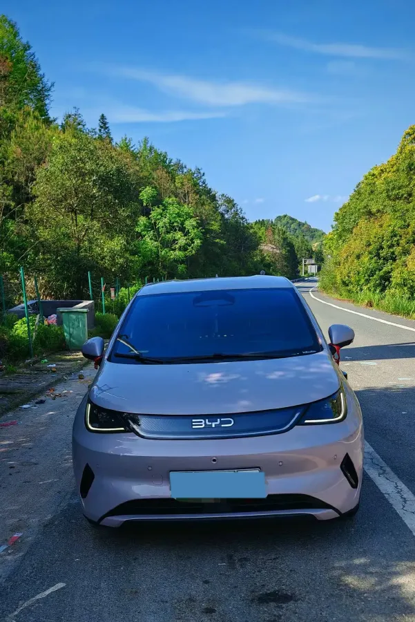 2025 BYD Dolphin BEV 45.12KWH,autocango,china used car exporter,china ev exporter,chinese used car exporter,chinese used ev exporter