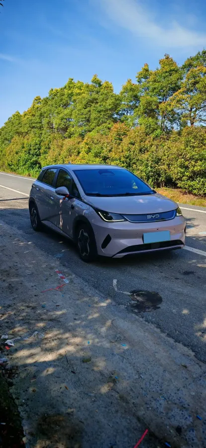 2025 BYD Dolphin BEV 45.12KWH,autocango,china used car exporter,china ev exporter,chinese used car exporter,chinese used ev exporter