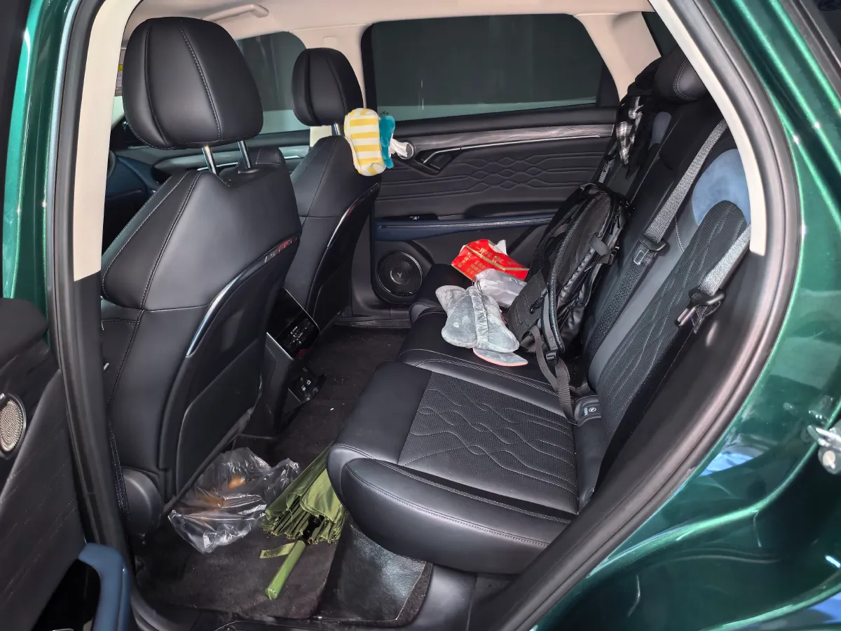 2024 Voyah FREE 1.5T 150HP L4 REEV 39.2KWH,autocango,china used car exporter,china ev exporter,chinese used car exporter,chinese used ev exporter