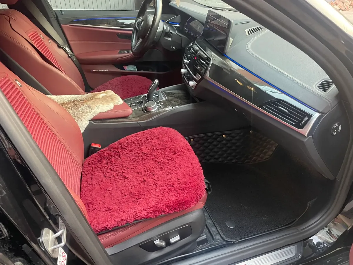 2021 BMW 5 Series 2.0T 184HP L4 8AT,autocango,china used car exporter,china ev exporter,chinese used car exporter,chinese used ev exporter