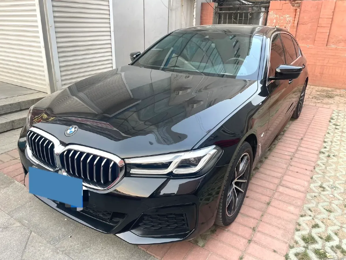 2021 BMW 5 Series 2.0T 184HP L4 8AT,autocango,china used car exporter,china ev exporter,chinese used car exporter,chinese used ev exporter