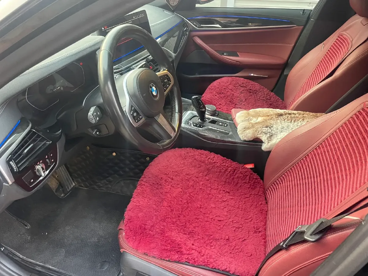 2021 BMW 5 Series 2.0T 184HP L4 8AT,autocango,china used car exporter,china ev exporter,chinese used car exporter,chinese used ev exporter