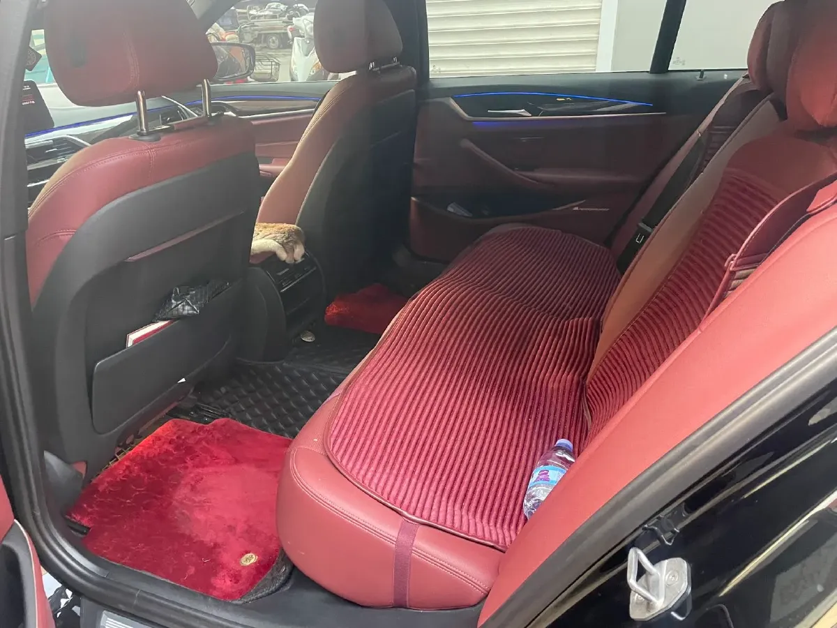 2021 BMW 5 Series 2.0T 184HP L4 8AT,autocango,china used car exporter,china ev exporter,chinese used car exporter,chinese used ev exporter