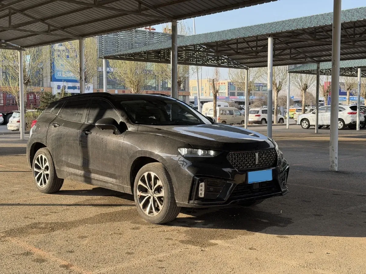 2020 WEY VV7 2.0T 227HP L4 7DCT,autocango,china used car exporter,china ev exporter,chinese used car exporter,chinese used ev exporter