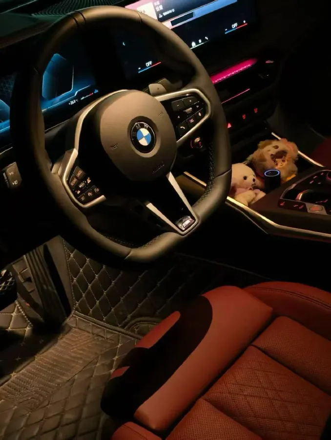 2025 BMW 3 Series 2.0T 184HP L4 8AT,autocango,china used car exporter,china ev exporter,chinese used car exporter,chinese used ev exporter