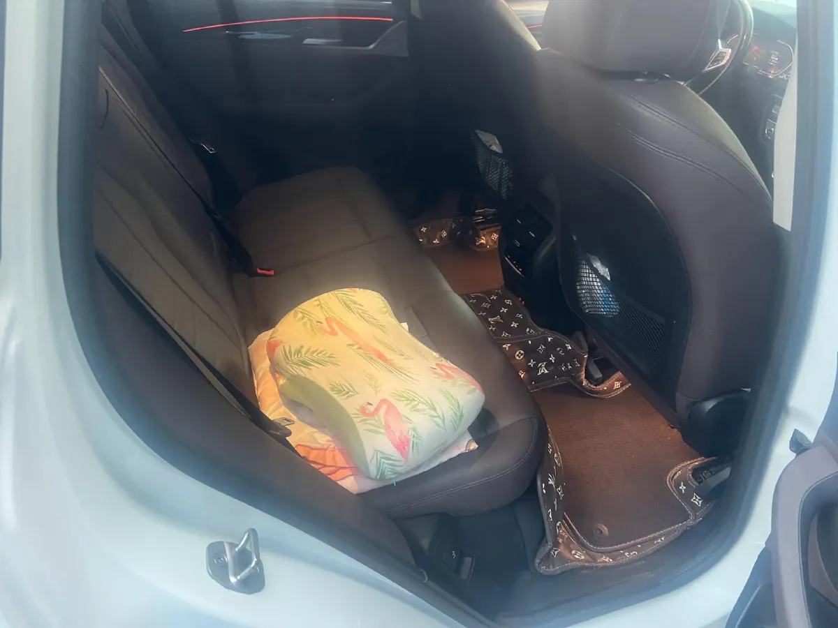 2021 BMW X3 2.0T 184HP L4 8AT,autocango,china used car exporter,china ev exporter,chinese used car exporter,chinese used ev exporter