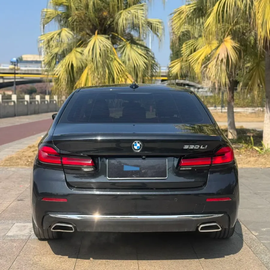 2022 BMW 5 Series 2.0T 252HP L4 8AT,autocango,china used car exporter,china ev exporter,chinese used car exporter,chinese used ev exporter