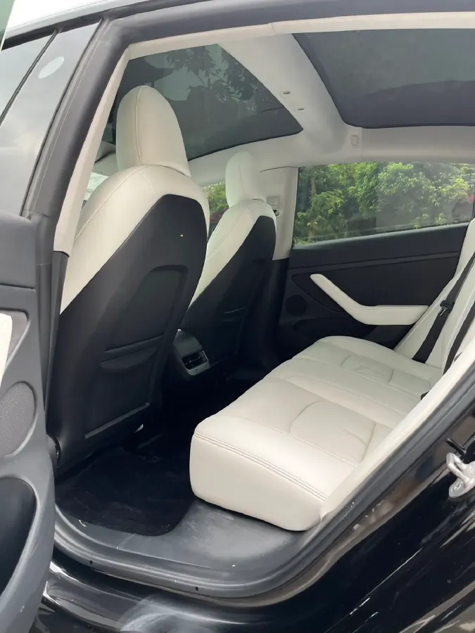 2022 Tesla Model 3 BEV 60KWH,autocango,china used car exporter,china ev exporter,chinese used car exporter,chinese used ev exporter