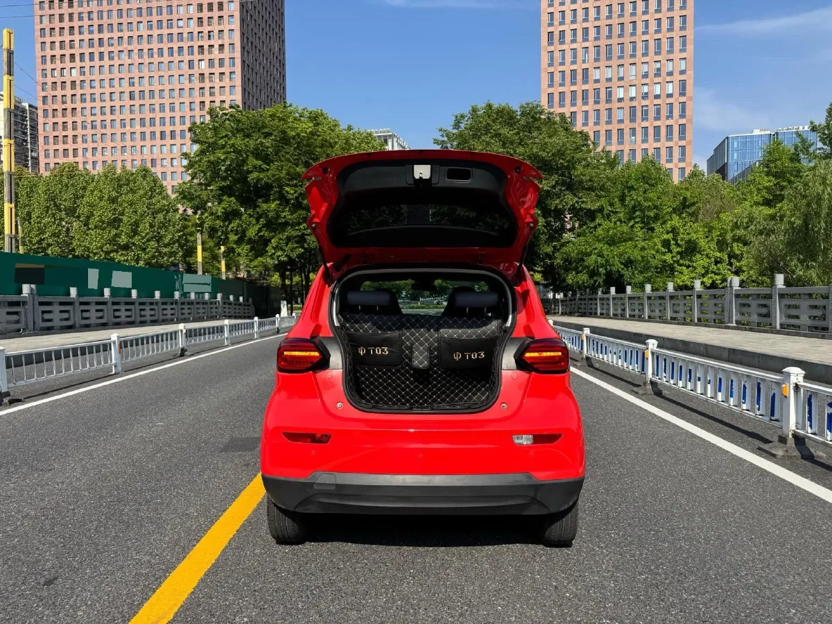 2021 Leapmotor T03 BEV 41KWH,autocango,china used car exporter,china ev exporter,chinese used car exporter,chinese used ev exporter